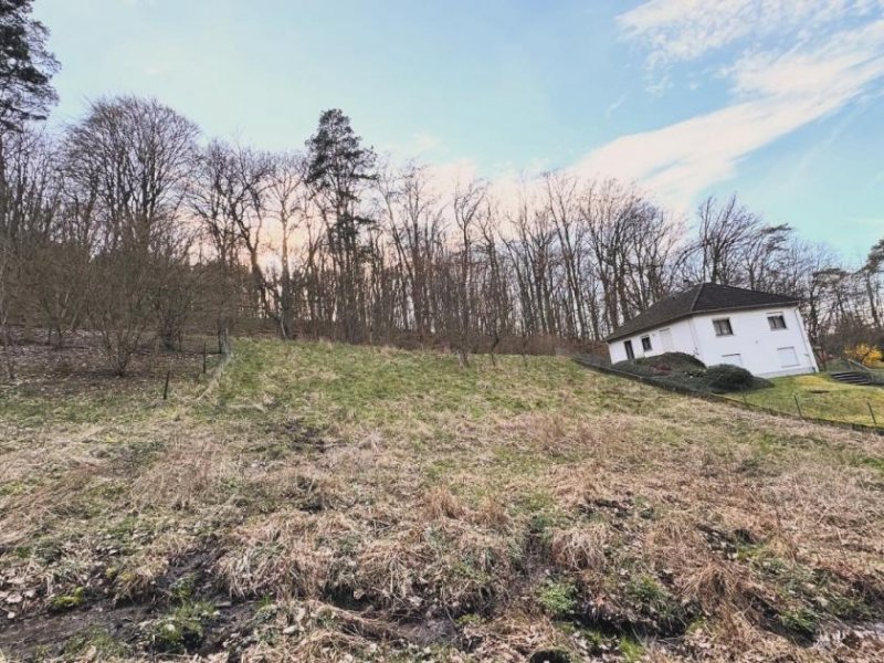 Wetzlar (Bau)grundstück / naturnah gelegen / mit toller Fernsicht / in Wetzlar-Nauborn Grundstück kaufen