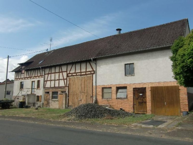 Feldatal Bauernhaus mit Ausbaupotential, Ortsrandlage und Wiesen zur Pacht möglich Haus kaufen