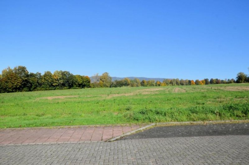 Holzminden 1-Familienwohnhaus mit Carport, Wintergarten und Swim-Spa mit Gegenstromanlage Haus kaufen