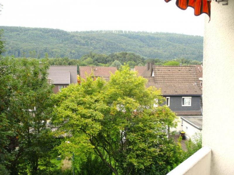 Holzminden Eigentumswohnung mit Balkon und Garage in stadtnaher Wohnlage Wohnung kaufen