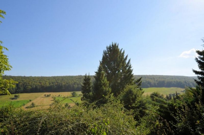 Heinade 1-Familienwohnhaus mit Garage und unverbauter Sicht in den Solling - Hellental Haus kaufen