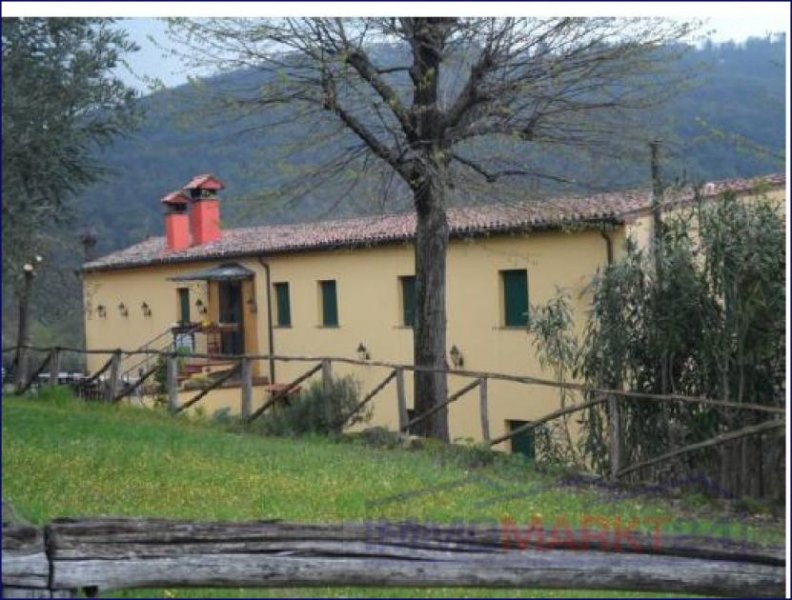 Faedo ***Schönes historisches Steinhaus, zur Zeit für touristische Zwecke genutzt, mit 5 Hektar Land*** Haus kaufen