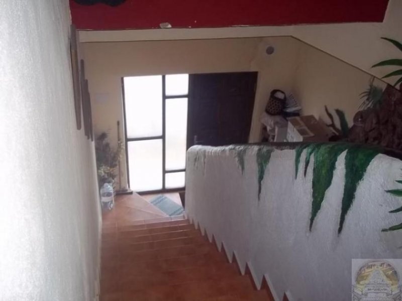 Icod de los Vinos Wohn und Geschäftshaus in Icod de los Vinos Teneriffa Nord 14 Zimmer Haus kaufen