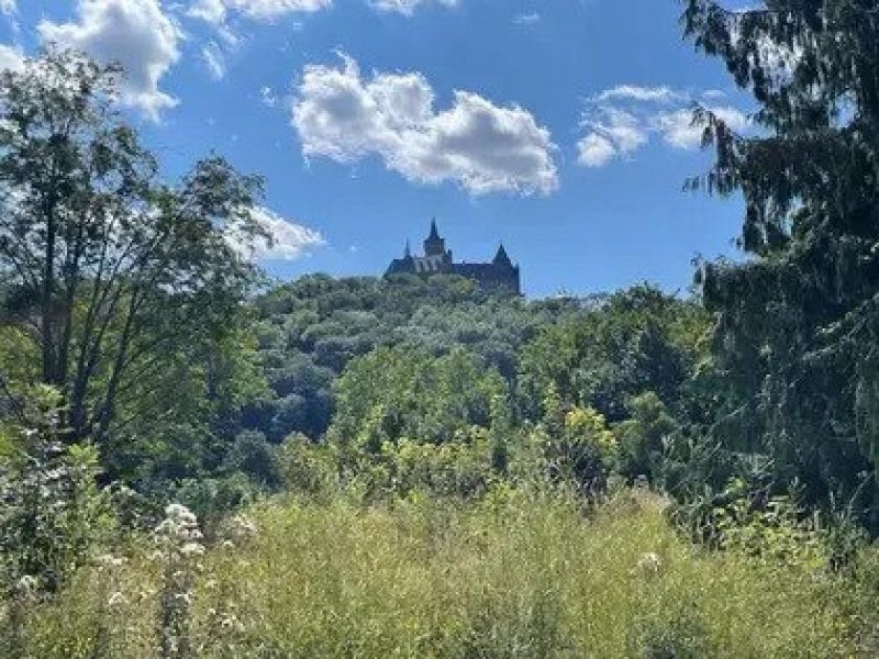 Wernigerode Die alternative zur Stadtvilla OKAL Pult11, incl. Grundstück Haus kaufen