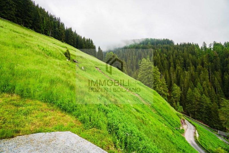 Ritten Wunderschöner Bergbauernhof in traumhafter Lage zu verkaufen Gewerbe kaufen