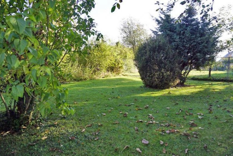 Barleben ohne Käuferprovision: BARLEBEN Einfamilienhaus mit großem Grundstück Haus kaufen