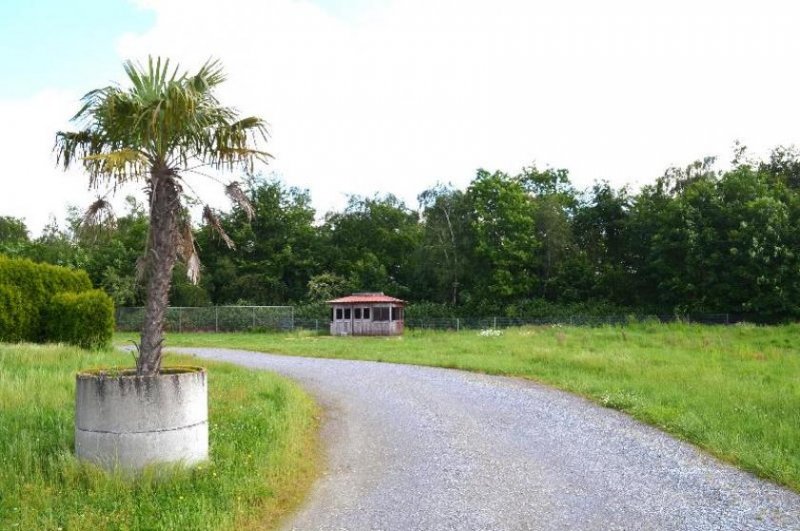 Nettetal 24/7 Lage im Industriegebiet - 6.303 m² inkl. 3.140 m² Baugrund, Bungalow, Büro, Hallen Gewerbe kaufen