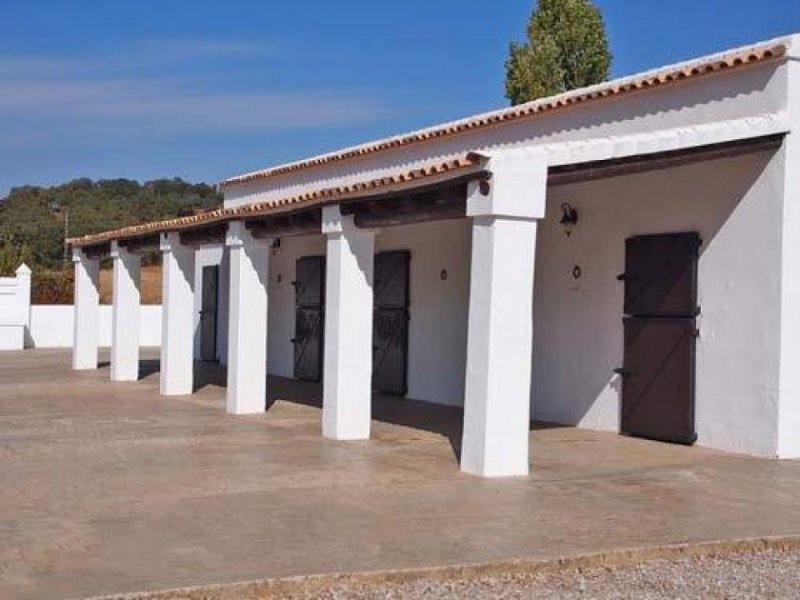 Constantina Andalusien, Provinz Sevilla, Constantina - Luxus-Finca für Pferdeliebhaber Haus kaufen