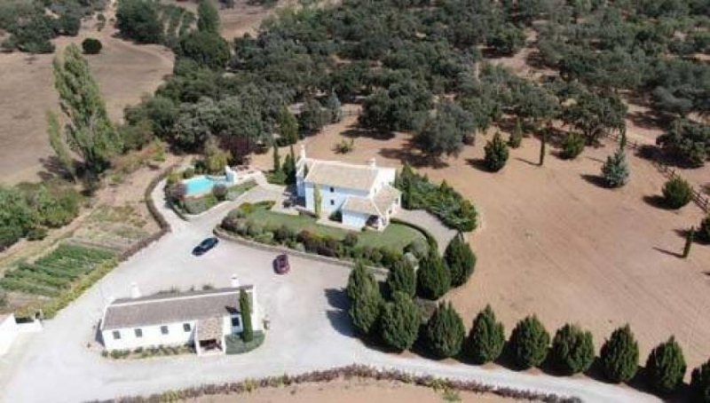 Constantina Andalusien, Provinz Sevilla, Constantina - Luxus-Finca für Pferdeliebhaber Haus kaufen