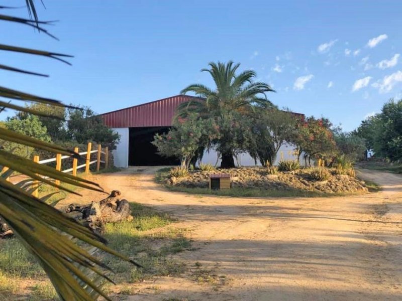 Alcala del Guadaira Andalusien, Alcala de Guadaira - Finca mit Reithalle für Pferdefreunde Haus kaufen