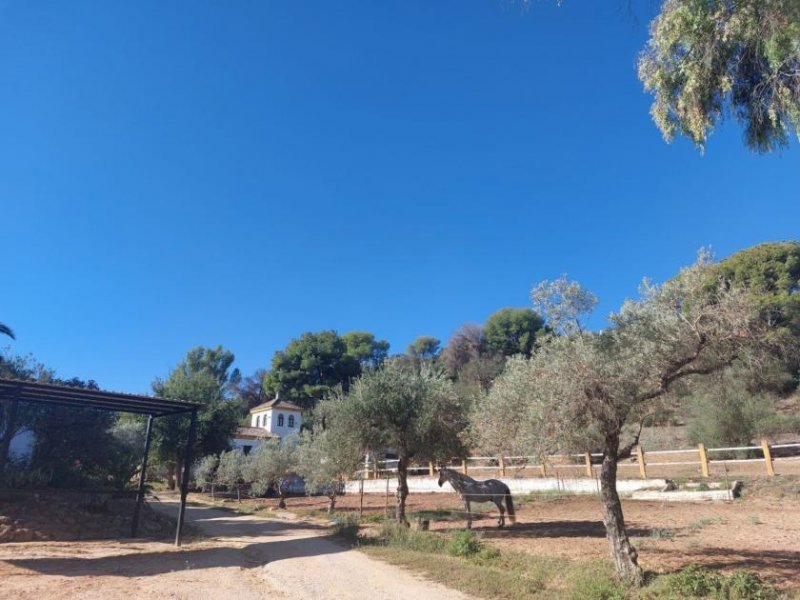 Alcala del Guadaira Andalusien, Alcala de Guadaira - Finca mit Reithalle für Pferdefreunde Haus kaufen