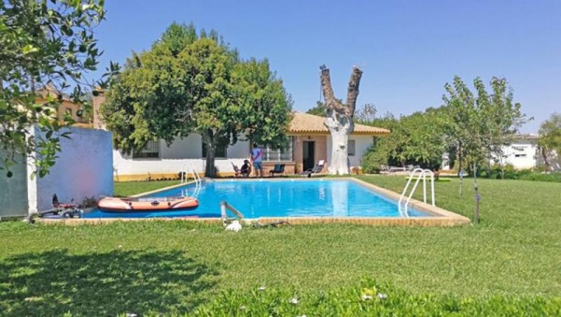 El Viso del Alcor Sevilla, El Viso del Alcor - Haus mit Pool + schönem Garten, genug Platz zur Pferdehaltung Haus kaufen