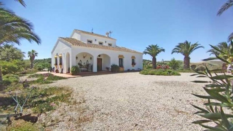 Montellano Andalusien, Provinz Sevilla, Montellano - grosse Finca, ideal für Pferde und Rinderhaltung Haus kaufen