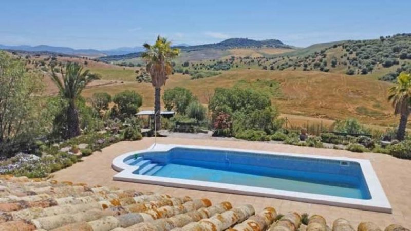 Montellano Andalusien, Provinz Sevilla, Montellano - grosse Finca, ideal für Pferde und Rinderhaltung Haus kaufen