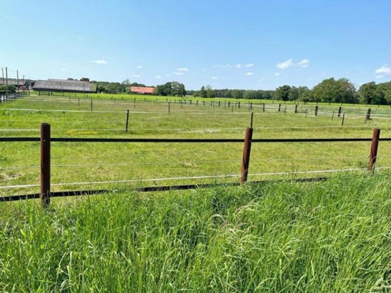 Wesel NRW, Nordrhein-Westfalen, Kreis Wesel - Reitanlage mit Halle, Aussenplatz und Wohnhaus zu verkaufen Gewerbe kaufen