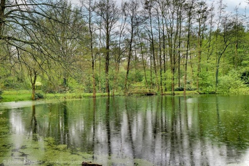 Hamminkeln Hamminkeln: Freizeit mit See und Wald sucht neuen Liebhaber Grundstück kaufen