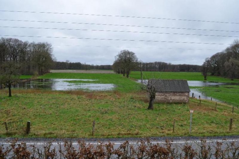 Kerken Niederrheinischer Vierkanthof mit 3 Wohnungen +1 Appartement, neue 15X30m Halle, Stall, Reitplatz Haus kaufen