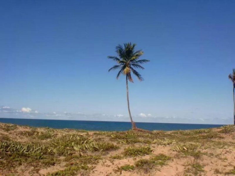 Barra do Itariri 20.000 qm am Meer für Haus oder Pousada - 12029 Grundstück kaufen