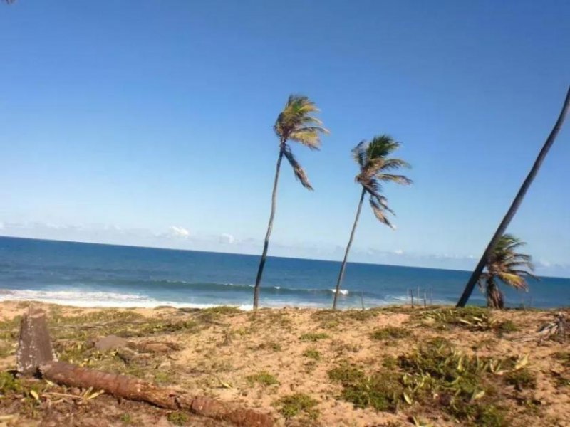 Barra do Itariri 20.000 qm am Meer für Haus oder Pousada - 12029 Grundstück kaufen