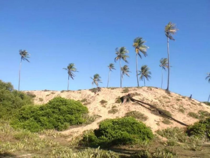 Barra do Itariri 20.000 qm am Meer für Haus oder Pousada - 12029 Grundstück kaufen