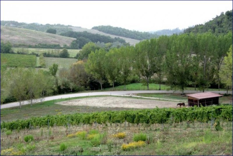 Castel Fiorentino ***Landhaus mit 40 Hektar Landfläche in der Toskana, Castel Fiorentino, in Norditalien*** Haus kaufen