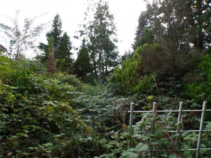 Köln Baugrundstück (erschlossen) - an einer Hauptstraße, aber in 2.ter Reihe und dadurch ruhig gelegen Grundstück kaufen