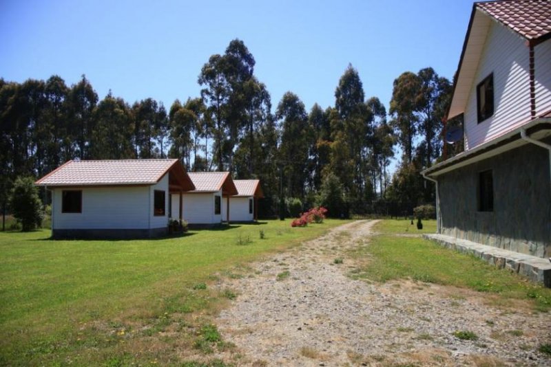 Malalhue Grundstück in der bezaubernden Region Los Ríos, Chile Gewerbe kaufen