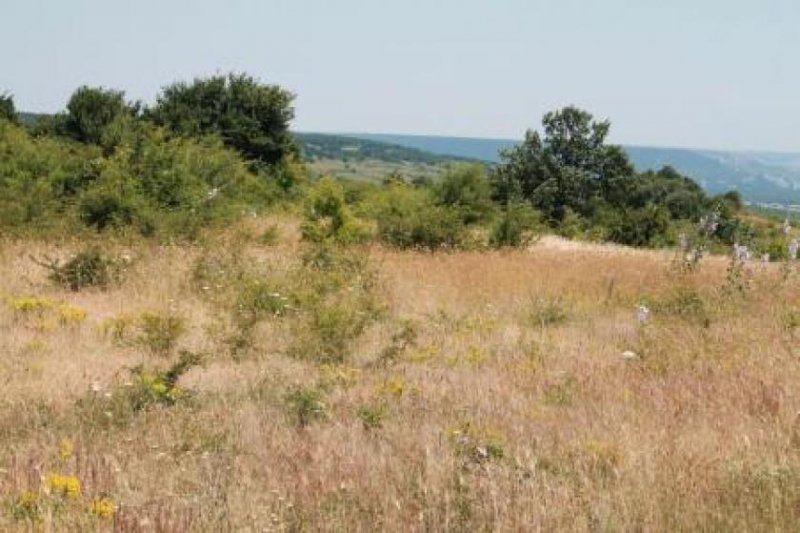 Aachen Baugrundstück mit Meerblick in Bulgariens schönster Urlaubsregion Gewerbe kaufen