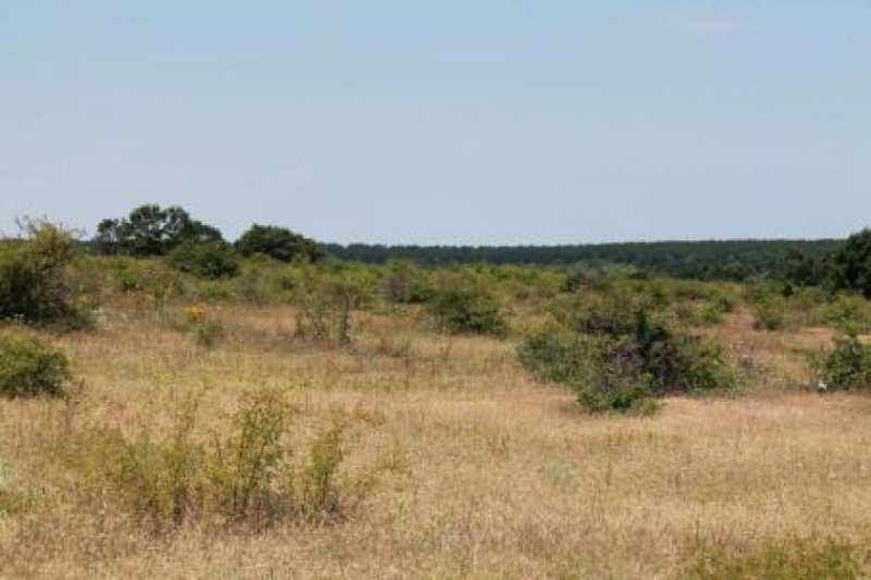 Aachen Baugrundstück mit Meerblick in Bulgariens schönster Urlaubsregion Gewerbe kaufen