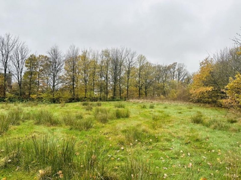 Roetgen Großes Grundstück in Roetgen zu verkaufen Grundstück kaufen