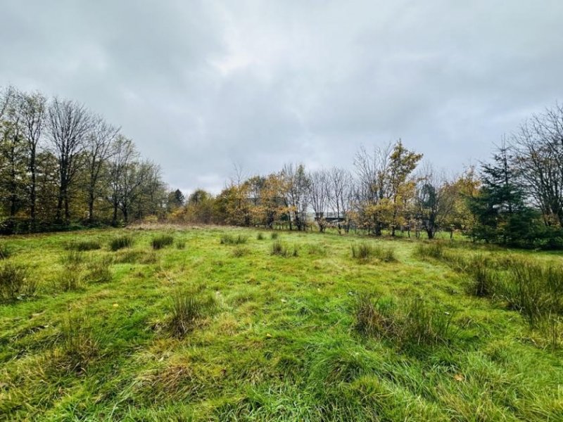 Roetgen Großes Grundstück in Roetgen zu verkaufen Grundstück kaufen