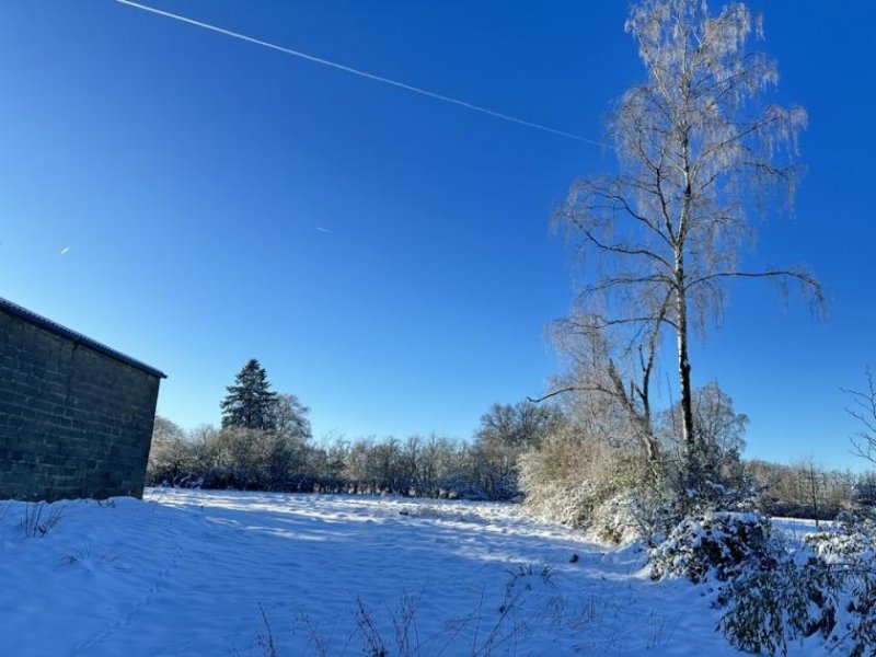 Roetgen Haus auf riesigem Grundstück mit Entwicklungspotential und Stall in Roetgen Haus kaufen