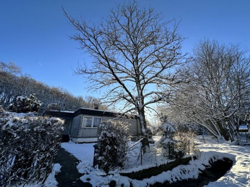 Roetgen Schönes Grundstück mit Bungalow in ruhiger Lage von Roetgen Haus kaufen