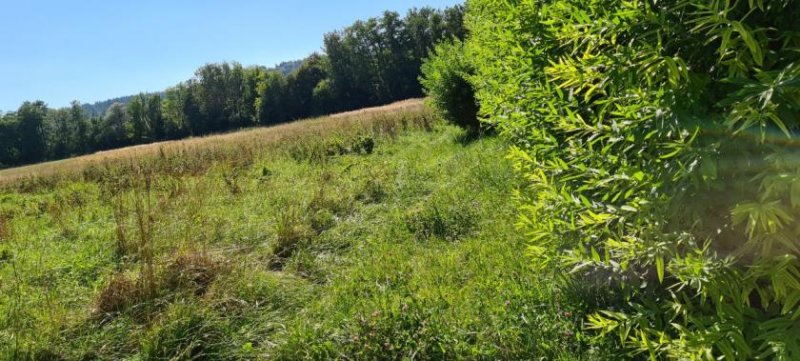 Uttendorf Großer Grund mit Bauaussicht Grundstück kaufen