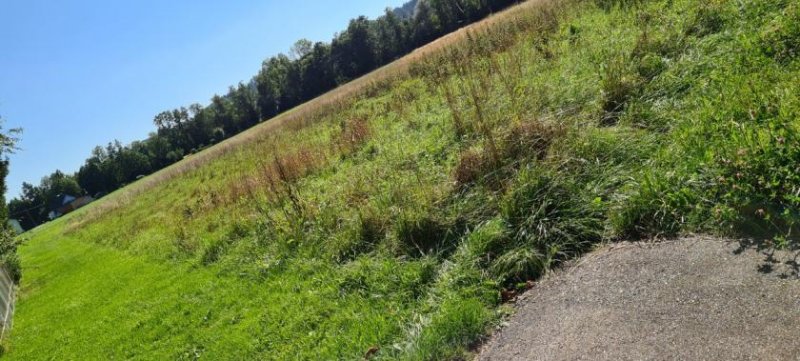 Uttendorf Großer Grund mit Bauaussicht Grundstück kaufen