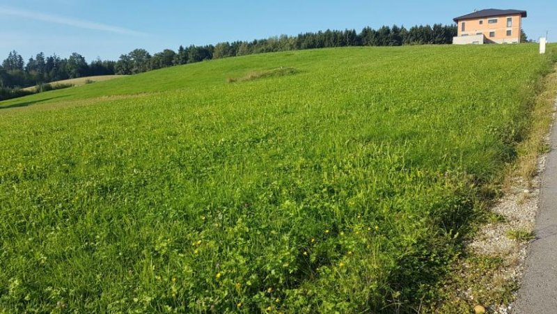 St. Veit im Innkreis Sonniger Baugrund Nähe Treubach Grundstück kaufen