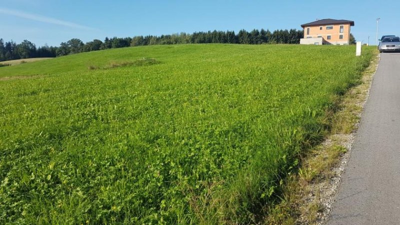 St. Veit im Innkreis Sonniger Baugrund Nähe Treubach Grundstück kaufen