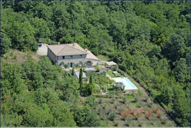 Gaiole in Chianti ***Schönes, erst kürzlich renoviertes, traditionelles Landgut mit 11 Hektar Landfläche in der Toskana*** Haus kaufen