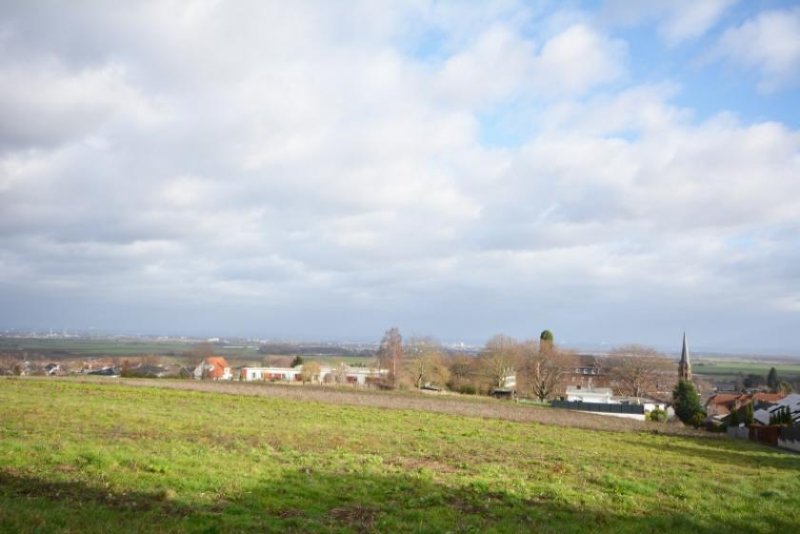 Bornheim (Rhein-Sieg-Kreis) Baugrundstück in Höhenlage von Merten Grundstück kaufen