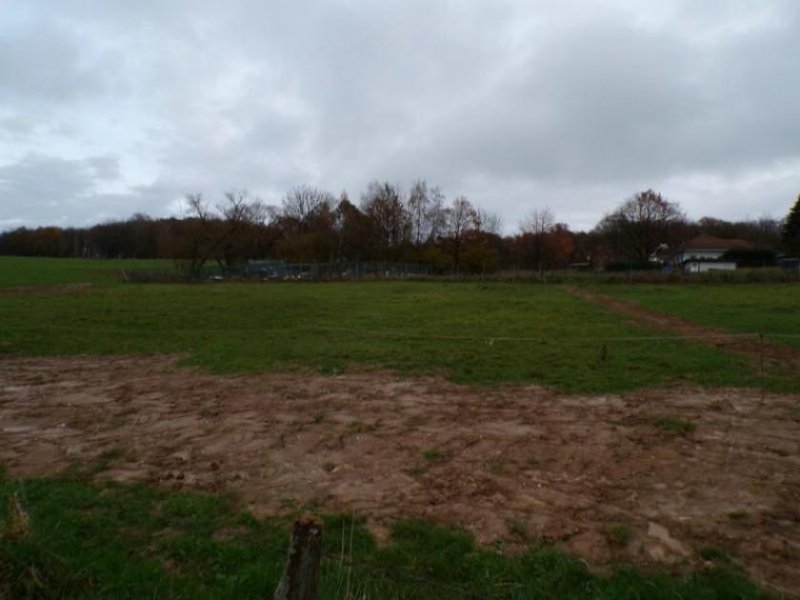 Neustadt (Wied) Baugrundstück 1 (voll erschlossen) in einem idyllischen Seitental des Naturparks Rhein-Westerwald Grundstück kaufen