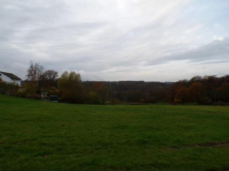 Neustadt (Wied) Baugrundstück 2 (voll erschlossen) in einem idyllischen Seitental des Naturparks Rhein-Westerwald Grundstück kaufen