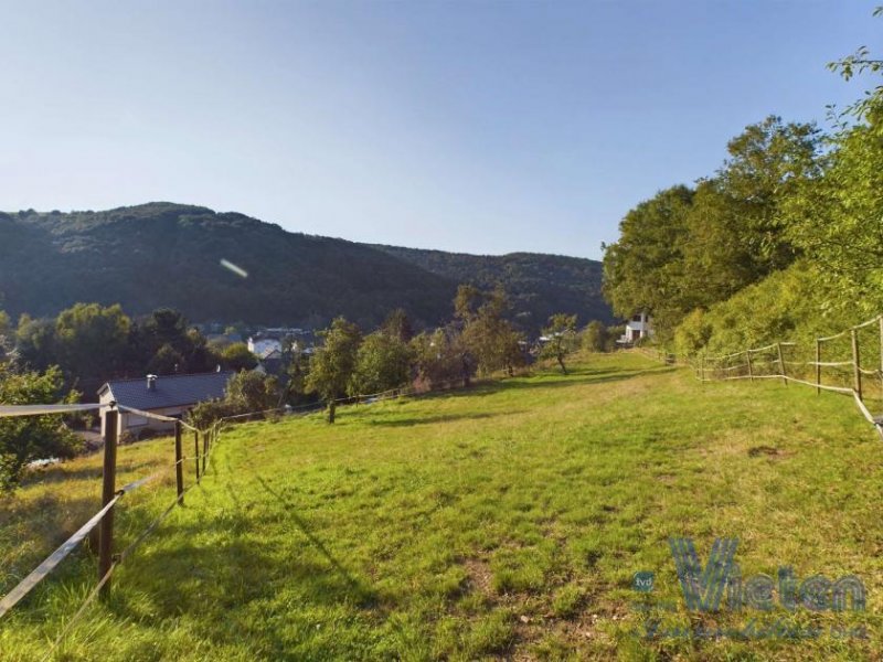 Schleiden Handwerker oder Sanierer für ein Bauernhaus auf großem Grundstück mit Obstbaumbestand gesucht! Haus kaufen