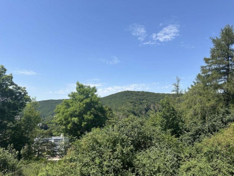 Schleiden Reihenendhaus mit Ausbaupotential über den Dächern von Gemünd auf eigenem Waldgrundstück! Haus kaufen