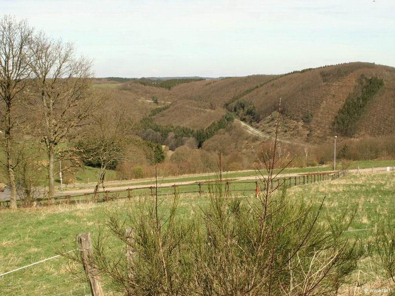 Schleiden Unverbaubare Fernsicht in der Eifel - 882,00 qm - GS-SB78 Grundstück kaufen