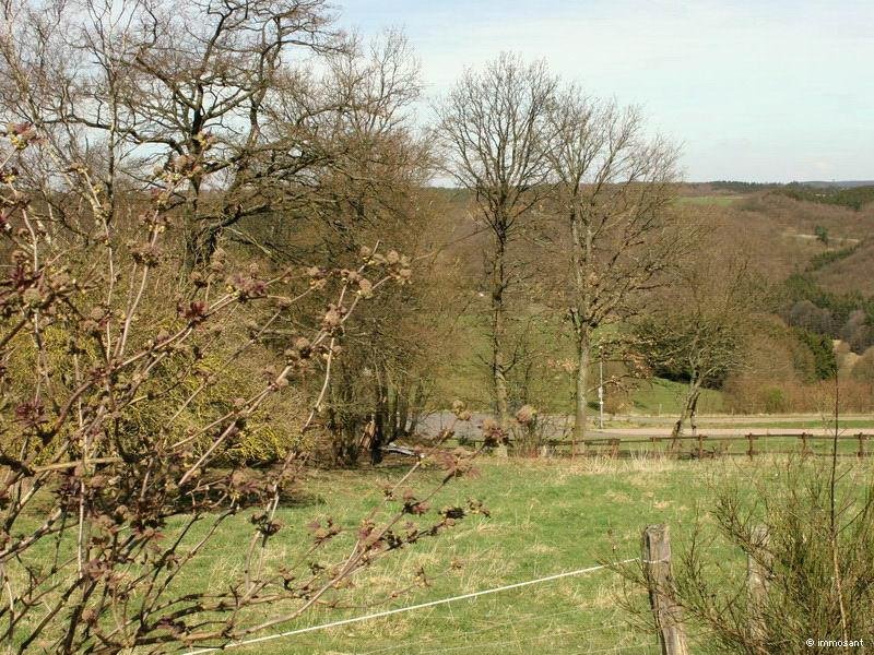 Schleiden Unverbaubare Fernsicht in der Eifel - 882,00 qm - GS-SB78 Grundstück kaufen