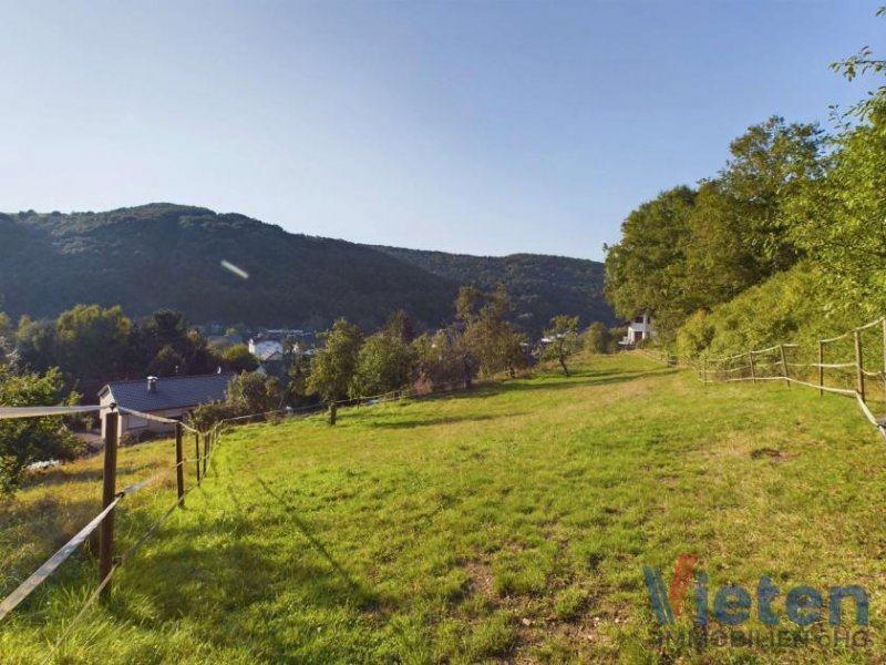 Schleiden Wunderschönes, 3707 m² großes Grundstück mit Talblick mit abrisswürdigem Gebäude in Ortsrandlage Haus kaufen