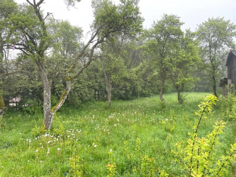 Blankenheim (Kreis Euskirchen) Wohnen im idyllischen Eifeldorf Lindweiler... Grundstück kaufen