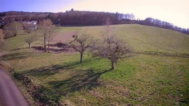 Deuselbach Deuselbach am Erbeskopf im Naturpark Hunsrück- voll erschlossene Baugrundstücke in landschaftl reizvoller Lage Grundstück