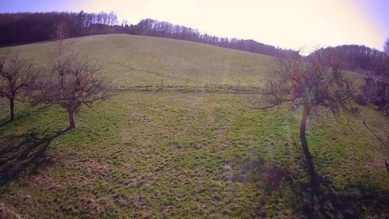 Deuselbach Deuselbach am Erbeskopf im Naturpark Hunsrück- voll erschlossene Baugrundstücke in landschaftl reizvoller Lage Grundstück