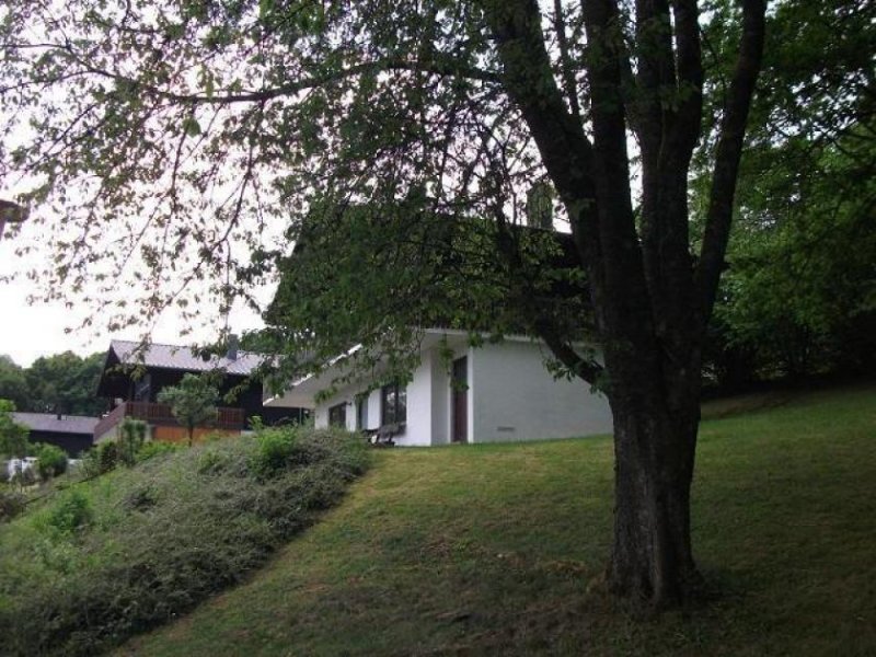 Thalfang Thalfang-Himmelberg im Nationalpark Hunsrück-Hochwald, 3 Zi./Kü./Bad Ferienwhg. in 2 Parteien Chalet zu verkaufen Wohnung